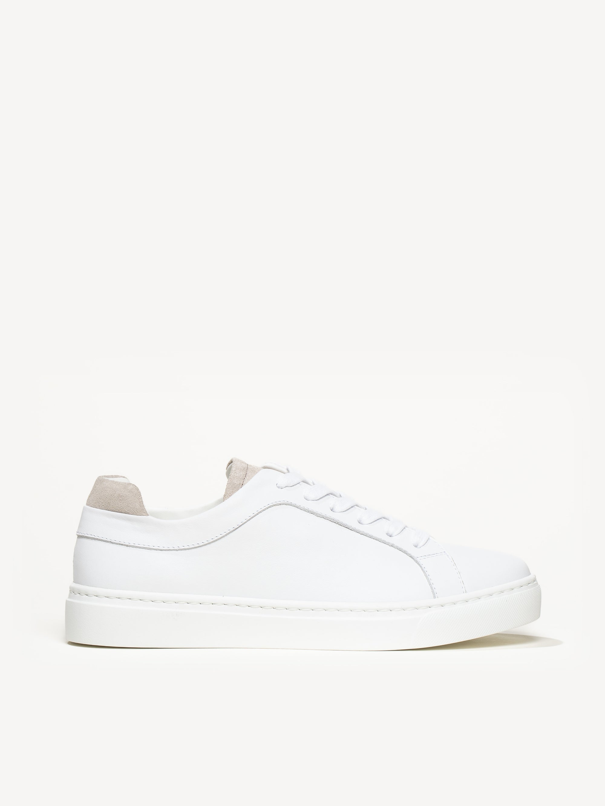 v_12192_01_Main_New_ThePalestr