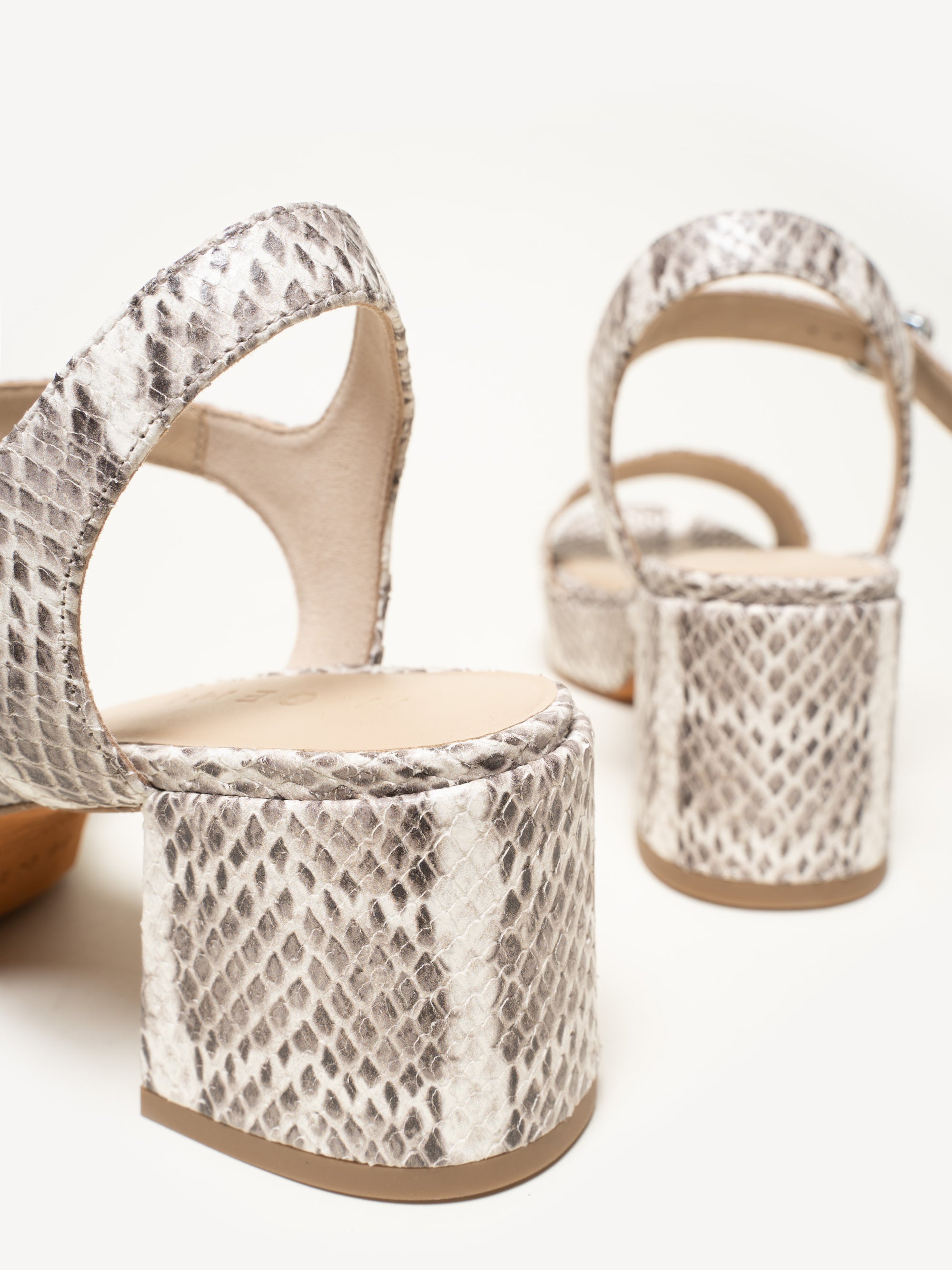 The Lizza Nuova - Black and White - Snake Print - M.Gemi