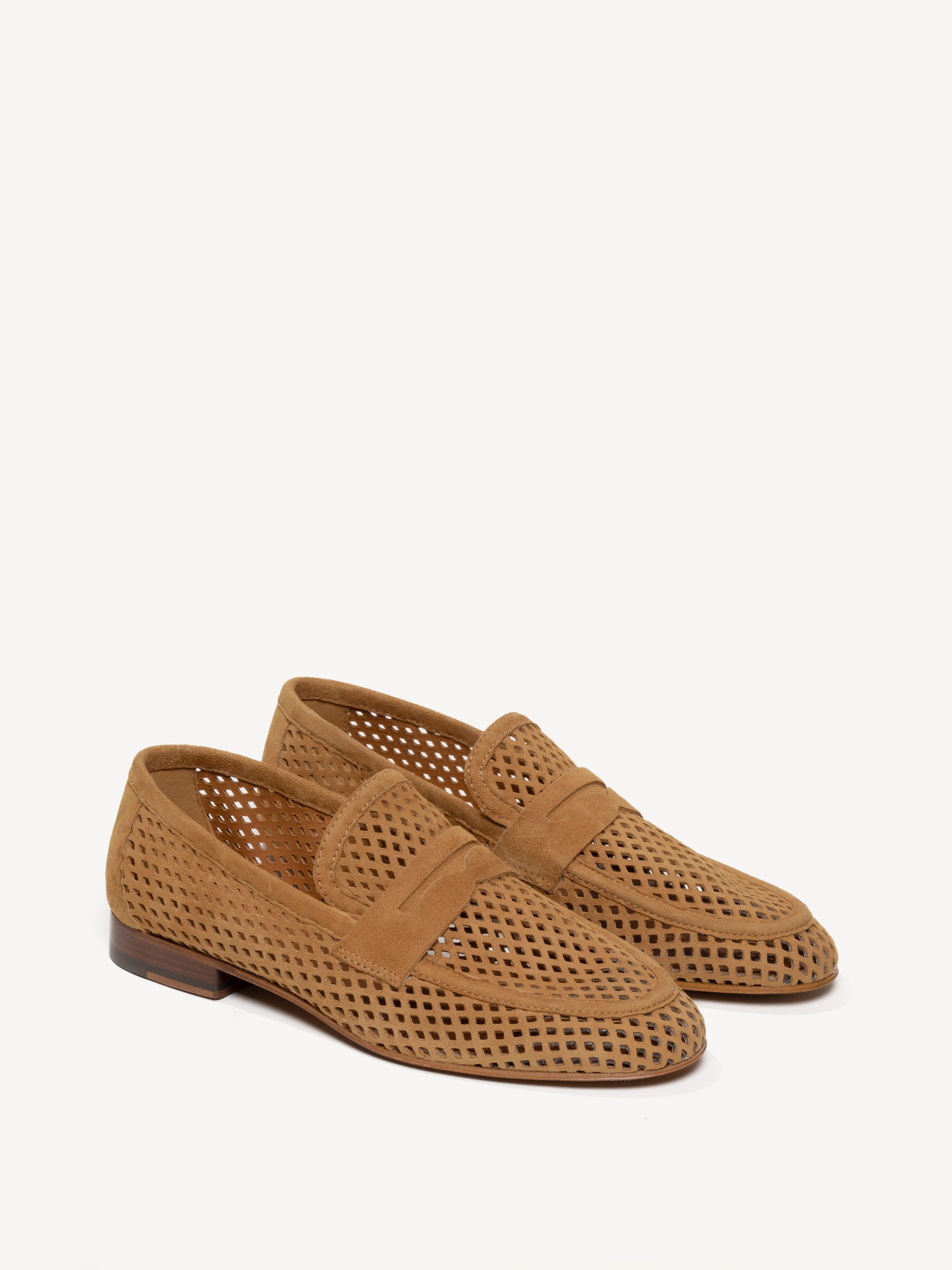 The Sacca Donna Lattice