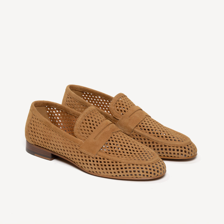 The Sacca Donna Lattice