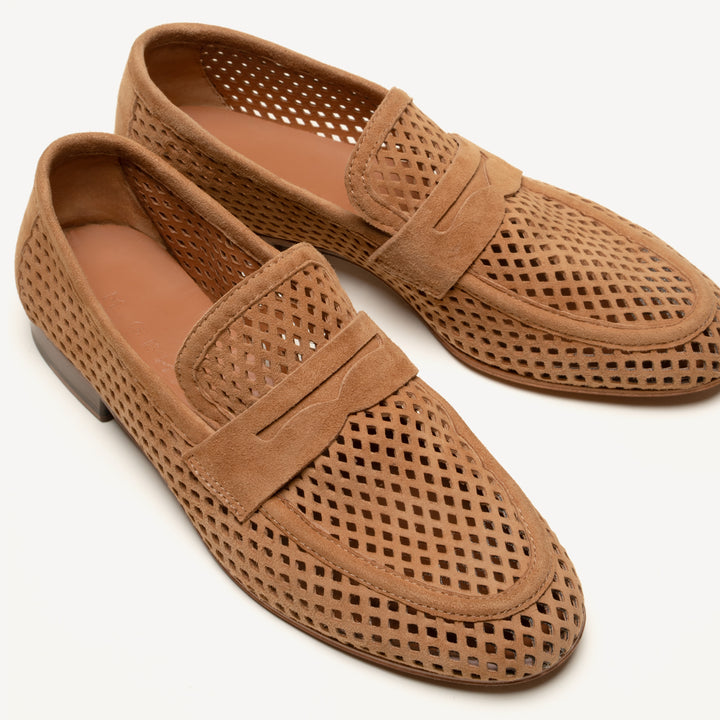 The Sacca Donna Lattice