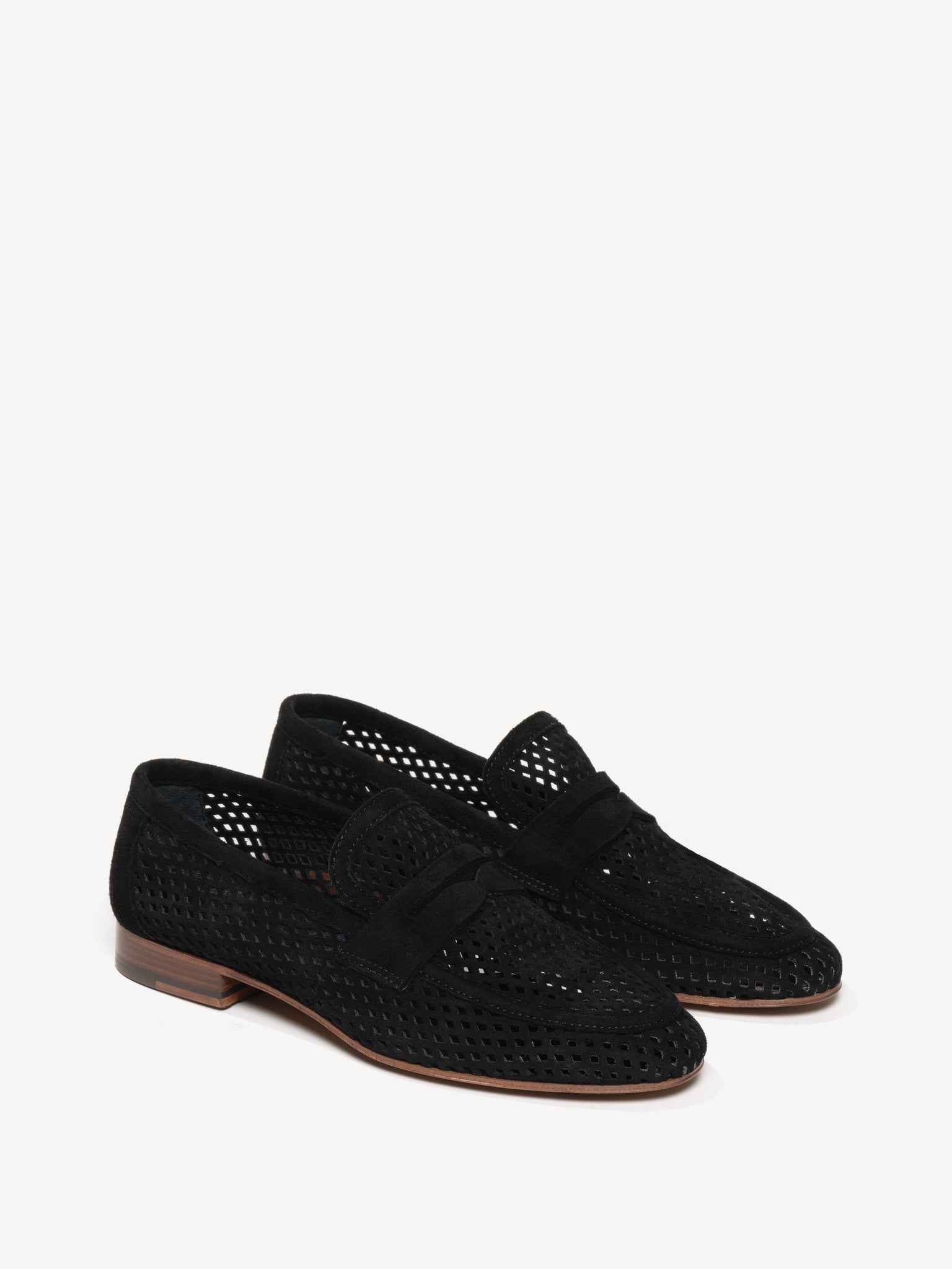 The Sacca Donna Lattice
