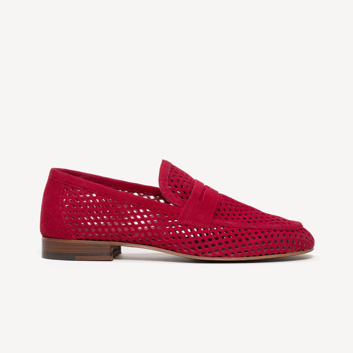 The Sacca Donna Lattice