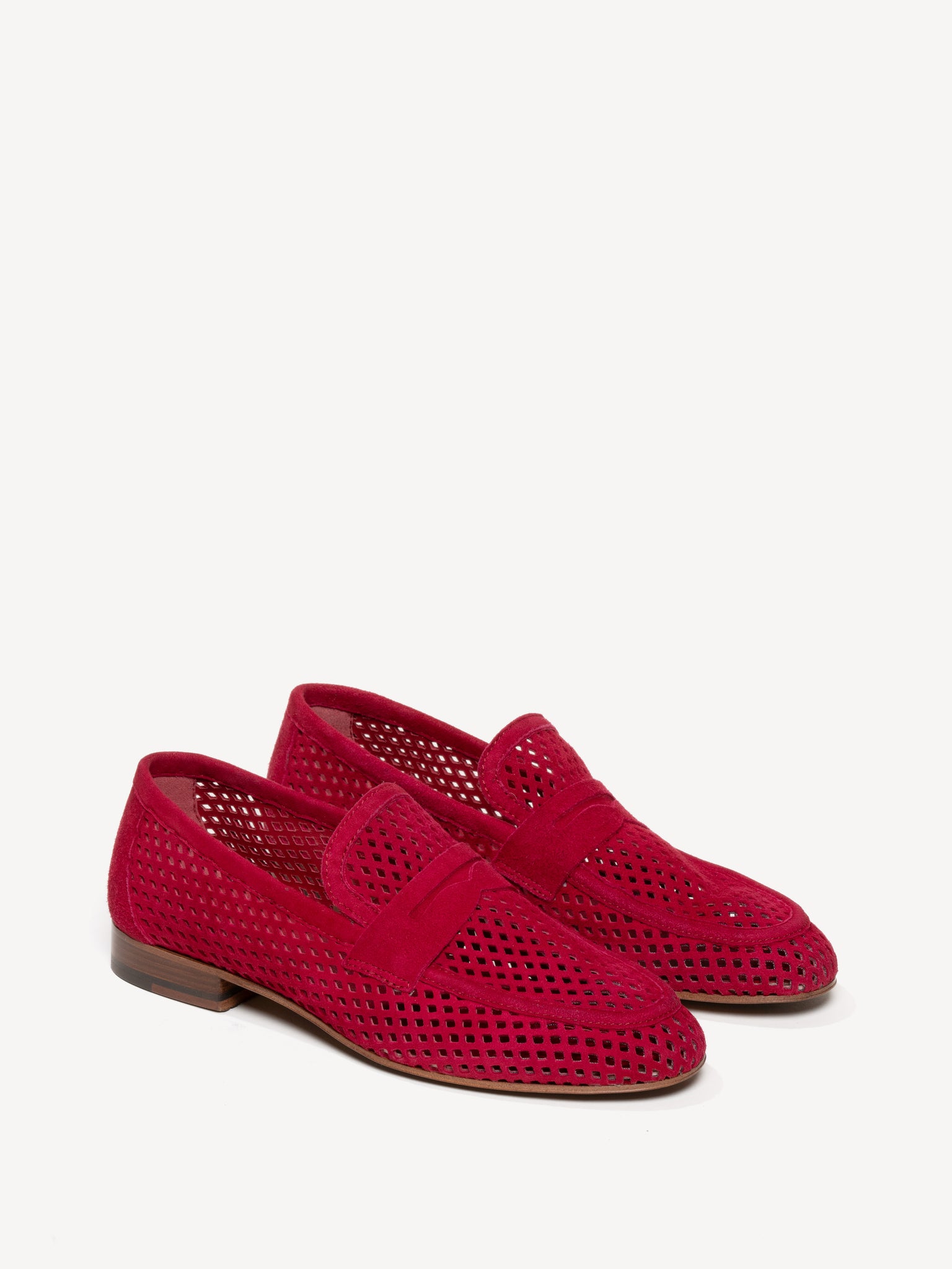 The Sacca Donna Lattice