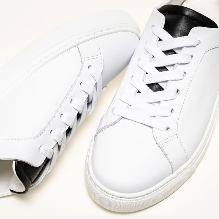 Sneakers palestra sale